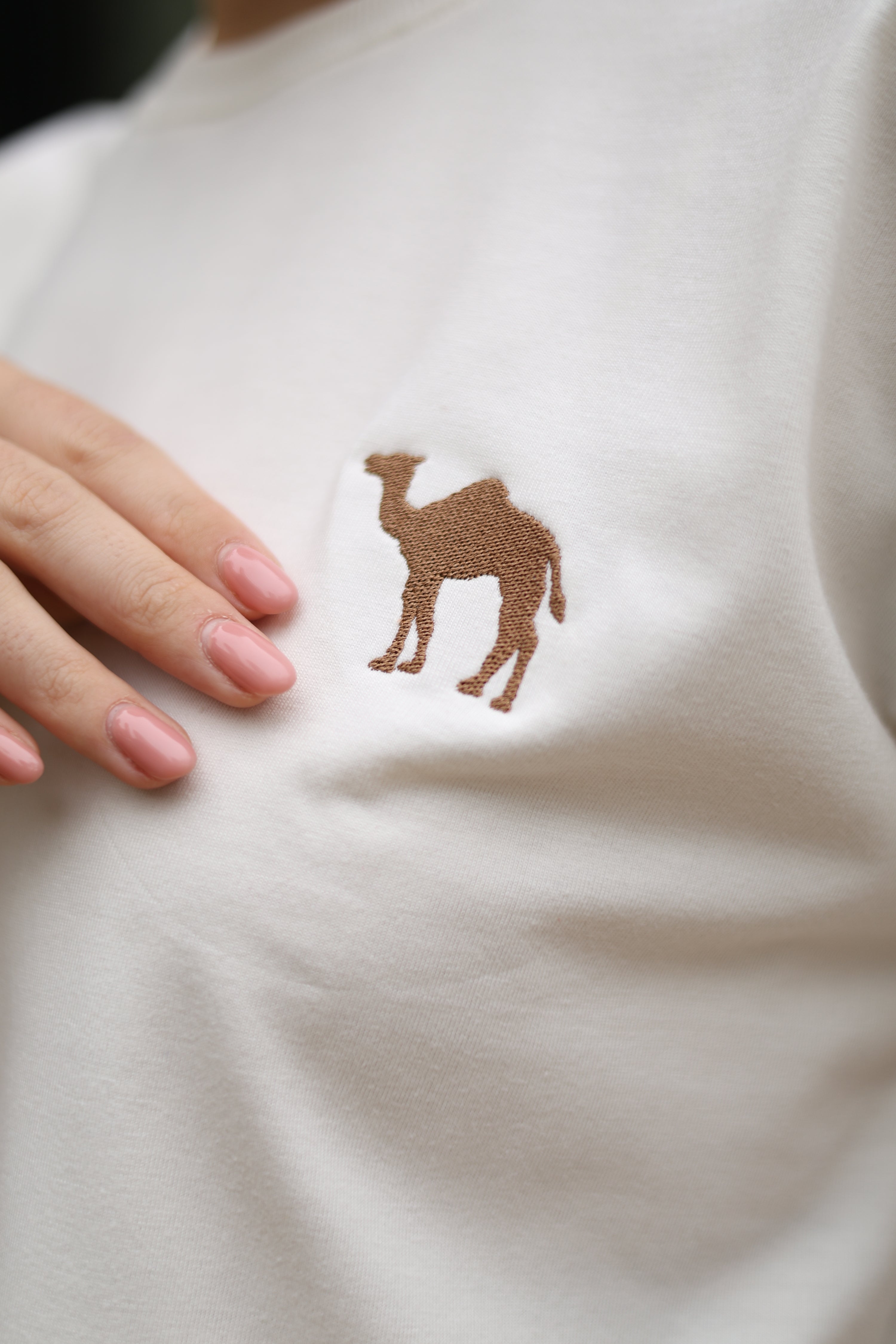 “Shade of Home” UAE off-white oversized, unisex T-shirt
